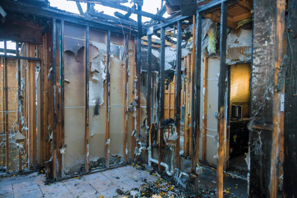 Professional Fire Damage Removal technician working in Laurel Hill, NC